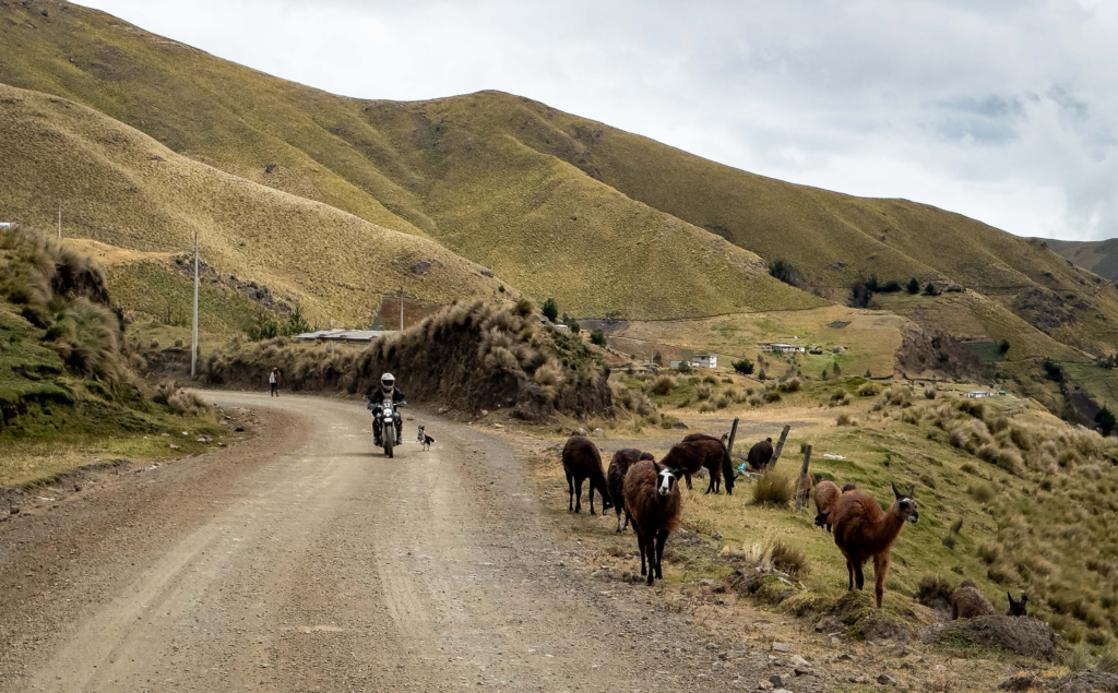 Ecuador · Highlands, Andes & Amazon