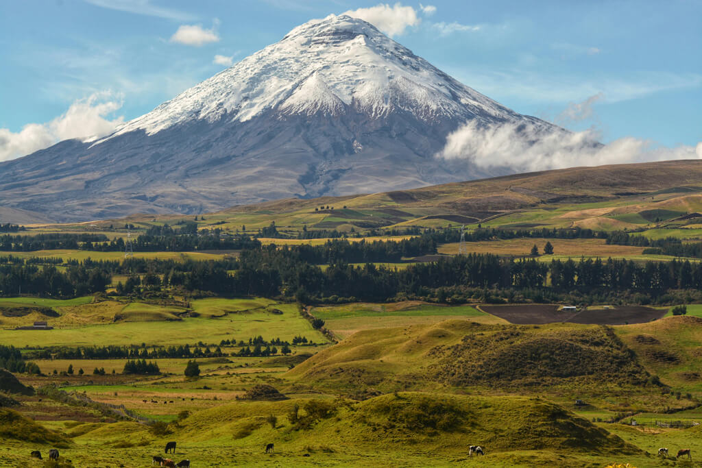 Quito Ecuador to Salta Argentina