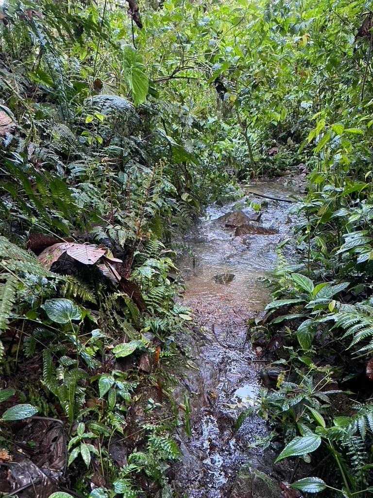 Pululahua Mindo Off Road